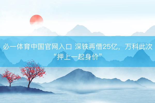 必一体育中国官网入口 深铁再借25亿，万科此次“押上一起身价”