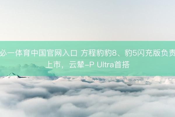 必一体育中国官网入口 方程豹豹8、豹5闪充版负责上市，云辇-P Ultra首搭