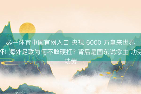 必一体育中国官网入口 央视 6000 万拿来世界杯! 海外足联为何不敢硬扛? 背后是国东说念主 功劳