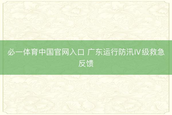 必一体育中国官网入口 广东运行防汛Ⅳ级救急反馈