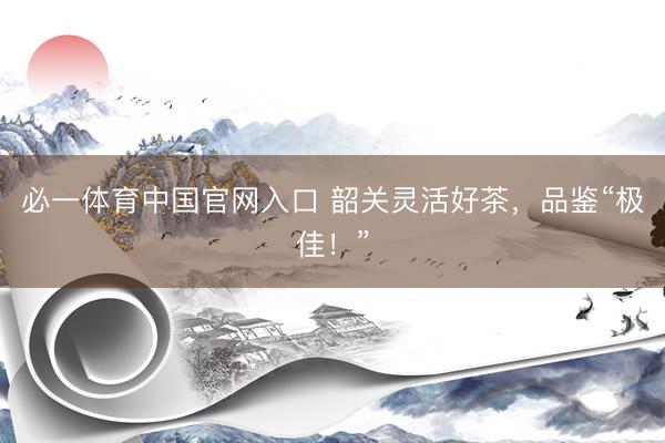 必一体育中国官网入口 韶关灵活好茶，品鉴“极佳！”