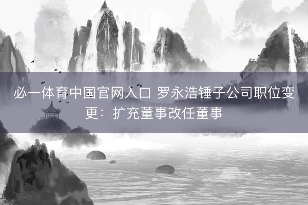 必一体育中国官网入口 罗永浩锤子公司职位变更：扩充董事改任董事