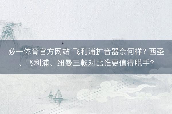 必一体育官方网站 飞利浦扩音器奈何样? 西圣、飞利浦、纽曼三款对比谁更值得脱手?