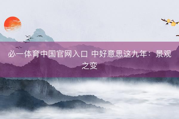 必一体育中国官网入口 中好意思这九年：景观之变