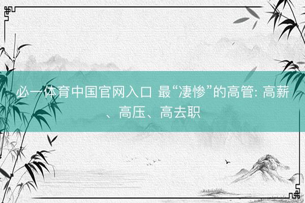 必一体育中国官网入口 最“凄惨”的高管: 高薪、高压、高去职