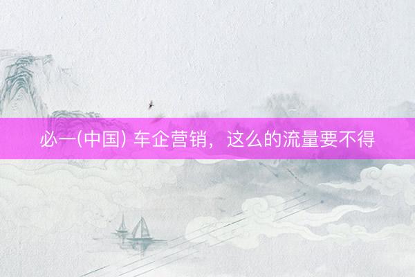 必一(中国) 车企营销，这么的流量要不得