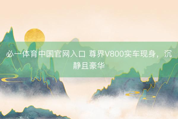 必一体育中国官网入口 尊界V800实车现身，沉静且豪华