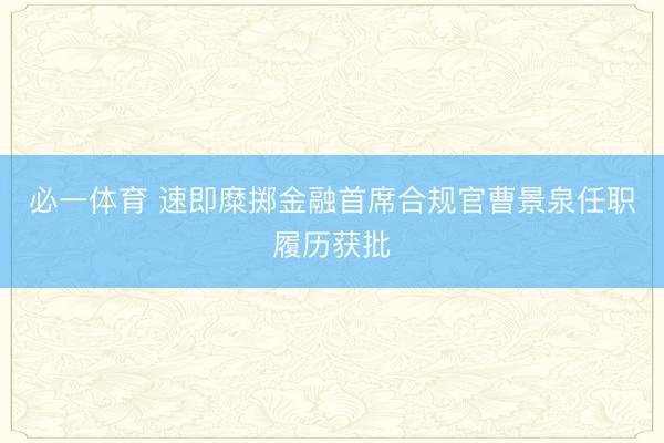 必一体育 速即糜掷金融首席合规官曹景泉任职履历获批